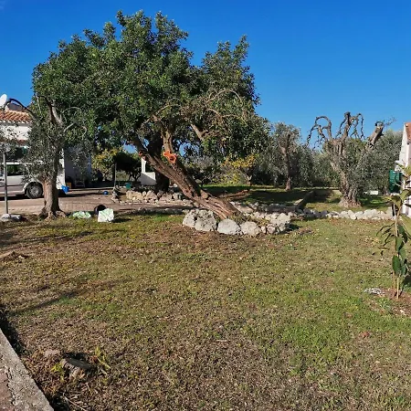 Villa Tenuta Solleone *